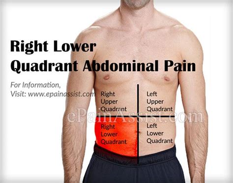 Twitch lower left abdomen - The liver is a vital organ located in the abdomen right above the stomach. It is the heaviest internal organ, weighing an average of 3 lbs. Its job is to... The liver is a vital organ located in the abdomen right above the stomach. It is th...